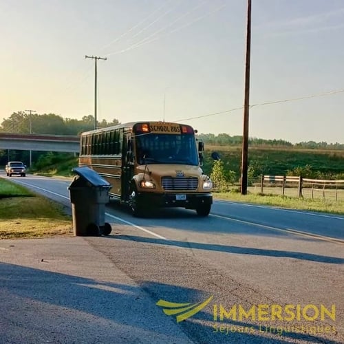 The yellow school bus